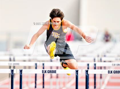 Thumbnail 1 in Herd Roundup @ Elk Boys Hurdles photogallery.