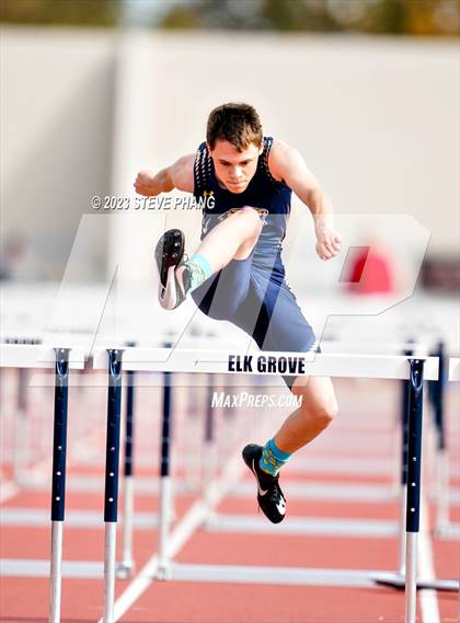 Thumbnail 1 in Herd Roundup @ Elk Boys Hurdles photogallery.