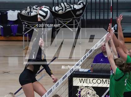 Thumbnail 2 in Castle vs. Yorktown (Bulldog Challenge) photogallery.