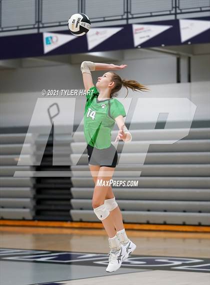 Thumbnail 2 in Castle vs. Yorktown (Bulldog Challenge) photogallery.