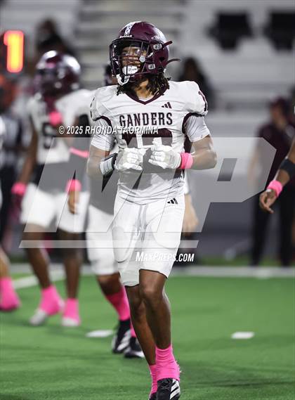 Thumbnail 2 in Lee @ Terry photogallery.