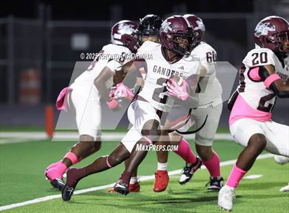 Thumbnail 1 in Lee @ Terry photogallery.