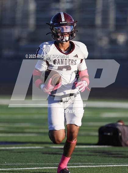 Thumbnail 2 in Lee @ Terry photogallery.