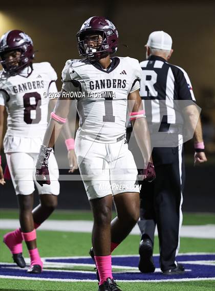 Thumbnail 1 in Lee @ Terry photogallery.