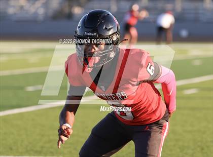 Thumbnail 3 in Lee @ Terry photogallery.