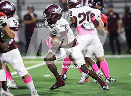 Thumbnail 2 in Lee @ Terry photogallery.