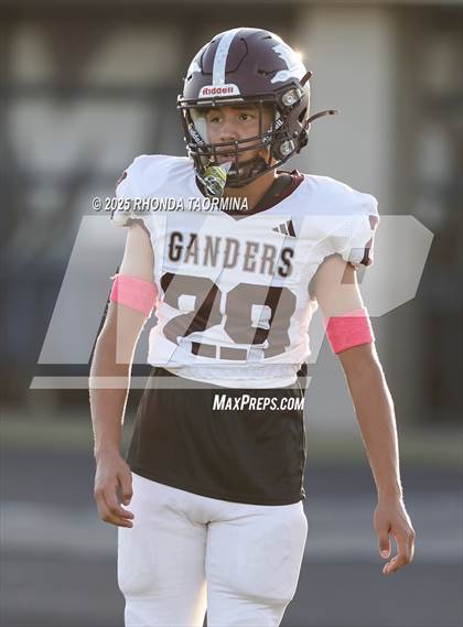 Thumbnail 2 in Lee @ Terry photogallery.