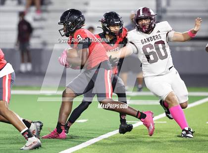 Thumbnail 3 in Lee @ Terry photogallery.