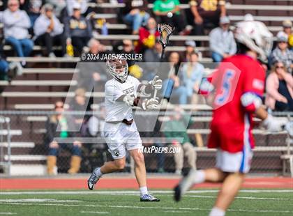 Thumbnail 1 in Los Alamitos @ Crespi photogallery.