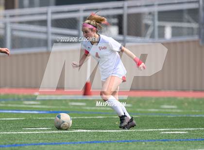 Thumbnail 3 in Lee vs Churchill photogallery.