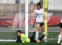Photo from the gallery "Hickory vs First Colonial (VHSL 5A Region Semifinal) "