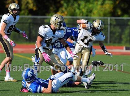 Thumbnail 1 in Trumbull @ Darien photogallery.