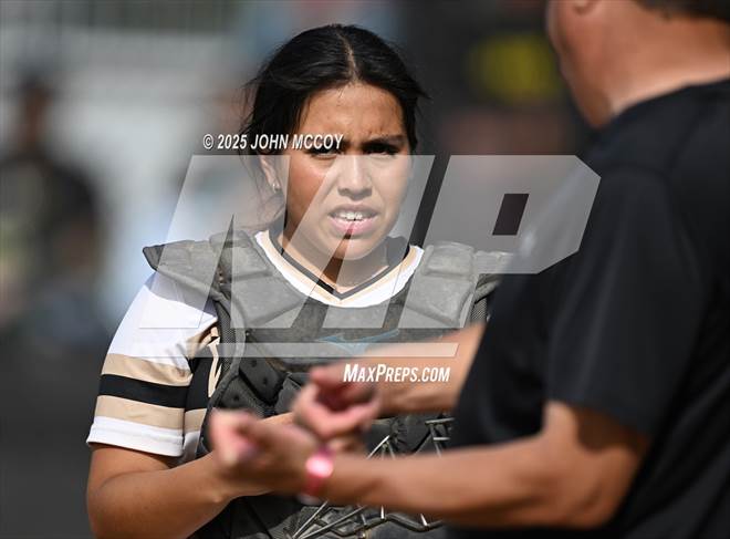 null - Photo 11