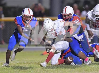 Thumbnail 2 in Northeast @ Pinellas Park photogallery.