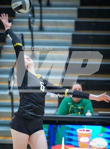 Thumbnail 2 in Mesa @ Basha (AIA Play-In) photogallery.