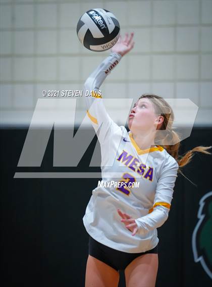 Thumbnail 1 in Mesa @ Basha (AIA Play-In) photogallery.