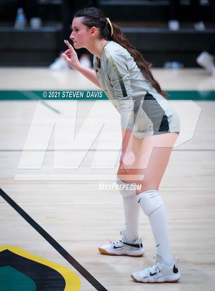Thumbnail 1 in Mesa @ Basha (AIA Play-In) photogallery.