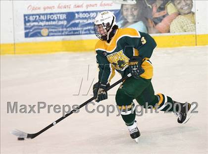 Thumbnail 2 in Morris Knolls @ Morristown-Beard photogallery.
