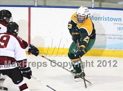 Thumbnail 2 in Morris Knolls @ Morristown-Beard photogallery.