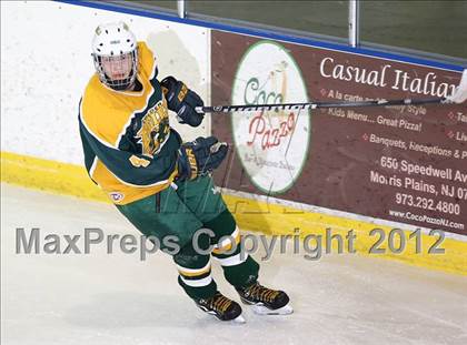 Thumbnail 3 in Morris Knolls @ Morristown-Beard photogallery.