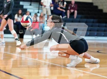 Thumbnail 1 in FR: Magnolia @ College Station (A Teams) photogallery.