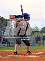Photo from the gallery "D.H. Conley @ Havelock"