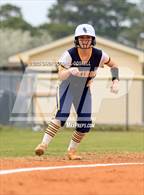 Photo from the gallery "D.H. Conley @ Havelock"