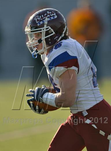 null - Photo 01