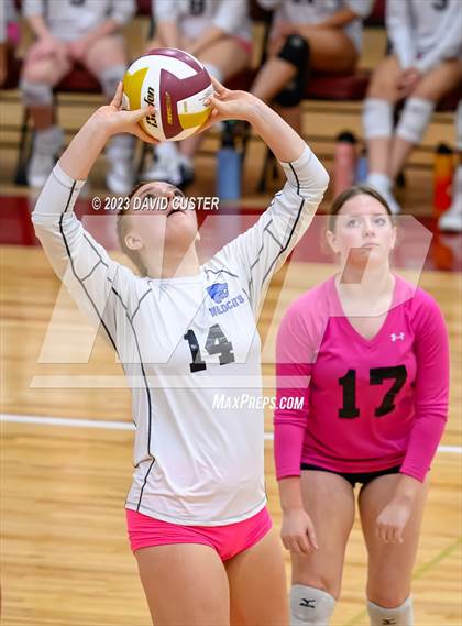 Thumbnail 2 in Centreville @ Oakton photogallery.