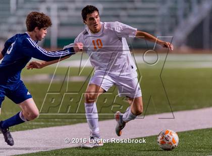 Thumbnail 3 in Smithson Valley @ Brandeis photogallery.