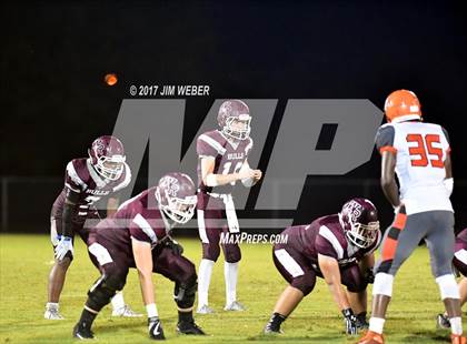 Thumbnail 2 in Zephyrhills @ Wiregrass Ranch photogallery.