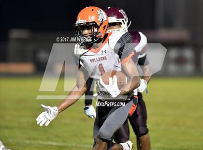 Thumbnail 3 in Zephyrhills @ Wiregrass Ranch photogallery.