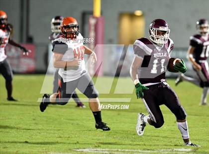 Thumbnail 2 in Zephyrhills @ Wiregrass Ranch photogallery.