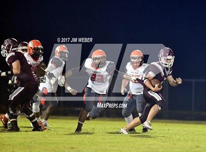 Thumbnail 3 in Zephyrhills @ Wiregrass Ranch photogallery.