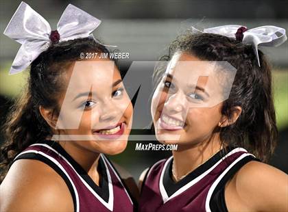 Thumbnail 1 in Zephyrhills @ Wiregrass Ranch photogallery.