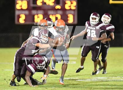 Thumbnail 3 in Zephyrhills @ Wiregrass Ranch photogallery.