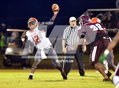 Thumbnail 2 in Zephyrhills @ Wiregrass Ranch photogallery.