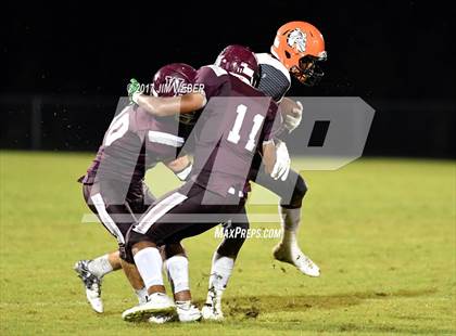 Thumbnail 1 in Zephyrhills @ Wiregrass Ranch photogallery.