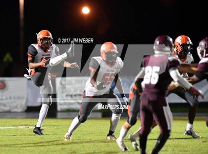 Thumbnail 3 in Zephyrhills @ Wiregrass Ranch photogallery.