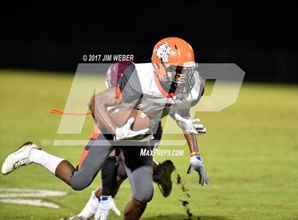 Thumbnail 3 in Zephyrhills @ Wiregrass Ranch photogallery.