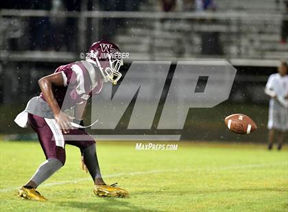 Thumbnail 2 in Zephyrhills @ Wiregrass Ranch photogallery.