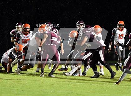 Thumbnail 2 in Zephyrhills @ Wiregrass Ranch photogallery.