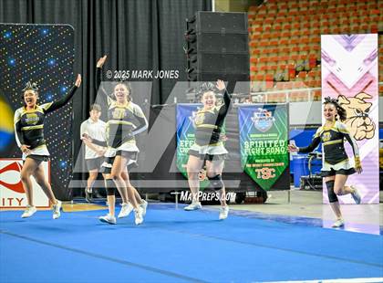 Thumbnail 3 in Douglas - Stunt Game Day Championships (AIA Division III) photogallery.