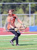 Photo from the gallery "Tower Hill @ St. Georges Tech"