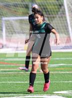 Photo from the gallery "Tower Hill @ St. Georges Tech"