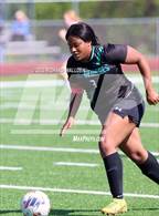 Photo from the gallery "Tower Hill @ St. Georges Tech"