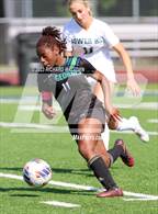 Photo from the gallery "Tower Hill @ St. Georges Tech"