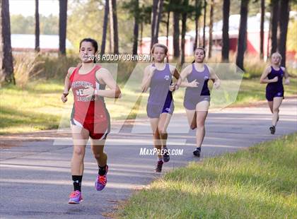Thumbnail 2 in District 5-2A Cross Country Meet (Timberland Ranch) photogallery.