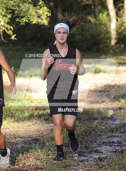 Thumbnail 1 in District 5-2A Cross Country Meet (Timberland Ranch) photogallery.