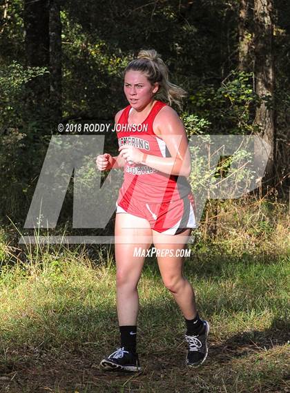 Thumbnail 1 in District 5-2A Cross Country Meet (Timberland Ranch) photogallery.